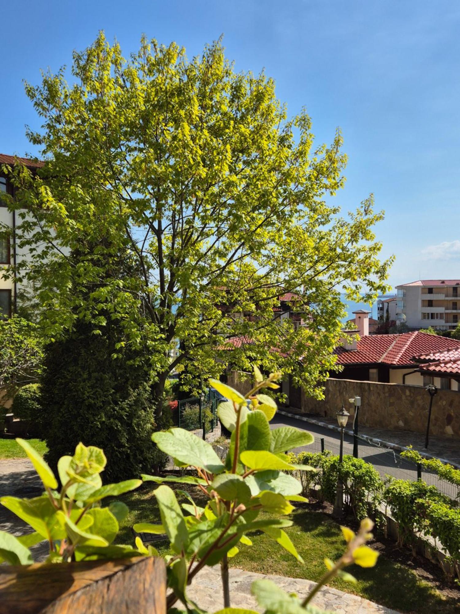 Апартамент Ния, Райска Градина / Garden Of Eden Sveti Vlas Exteriör bild